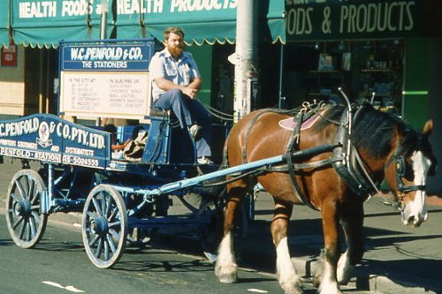 The Great Australian Bicentennial Bike Ride