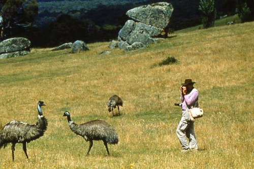 The Great Australian Bicentennial Bike Ride